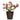 HomArt Metal Pot with Tulips Sculpture