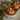 Flameless 3D Short Pumpkin Candle 3” Shown with other Ragon House Flameless LED Pumpkin Candles