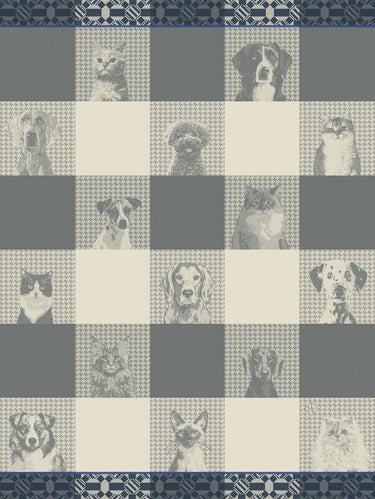 Checkered pattern with images of dogs and cats in each square.