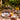 Table set with plates, espresso mugs, juice, teacups, and cereal bowl