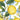 Caspari Seville Ivory Cocktail Napkin featuring lemons and a blue pattern background