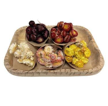 Andaluca - MINI Strawflower Bundle: Yellow