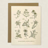 Wildflowers of North America Greeting Card