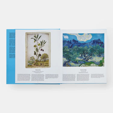 Tree: Exploring The Arboreal World