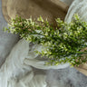 Green leaves on a white decorative object with a neutral background