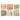 Flora & Fauna Cocktail Napkins Set of 6