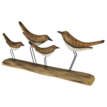 Tunis Birds Flock
