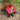 Cast Iron Lady Bug