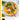 Cover of Feel Good Kitchen by Amy Lanza. Cover features a bowl with various vegetables and tofu and chopsticks.
