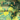 Fabric with a pattern of trees and animals on a green background