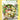 A Grain, A Green, A Bean cookbook. Cover has light yellow border, with green text. Inset is a photograph of a brightly colored salad in a bowl.