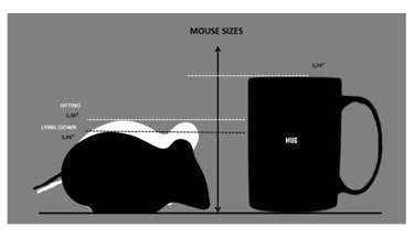 Diagram comparing mouse size to a mug on a gray background