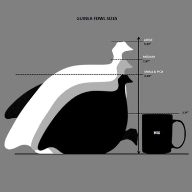 Size comparison chart for guinea fowl figures