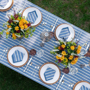 Pomegranate Dotted Stripe Blue Collection Tablecloth And napkins