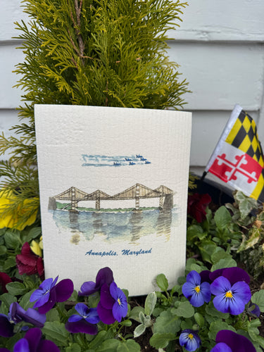 Annapoils Bay Bridge & Blue Angels Collection