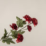 Burgundy Mum Spray 23”