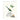 Party Frogs - Birthday Card