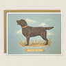 Happy Birthday Chocolate Lab Greeting Card