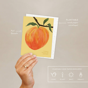 Seedlings - Peach - Thank You Card With graphic showing details: Foil accents, plantable seed paper envelope