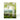 Birch Forest - Everyday Trees Greeting Cards