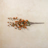 Orange Wild Lantern Stem 36”