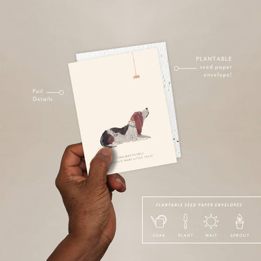 Hand holding a plantable seed paper envelope with a dog illustration on a beige background.