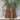 Lighted Grapevine Cone Trees- Set of 3