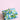 Pop Impatiens Collection