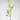 Artificial Dogwood Branch 41"