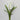 Artificial Cream White Hyacinth 12.5”